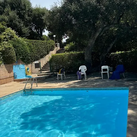 Villa Le Mazet Des Amis-tree-lined-swimming Pool-near Sea Sainte-Maxime