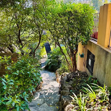 Villa Le Mazet Des Amis-tree-lined-swimming Pool-near Sea