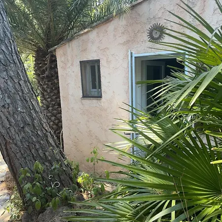 Le Mazet Des Amis-tree-lined-swimming Pool-near Sea * Sainte-Maxime